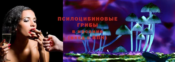 дурь Краснослободск