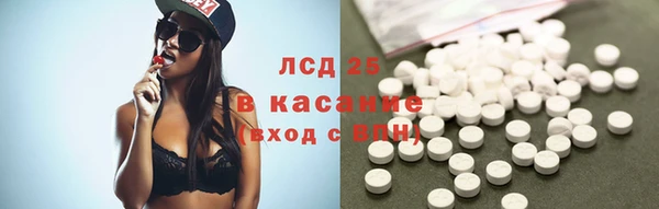 дурь Краснослободск